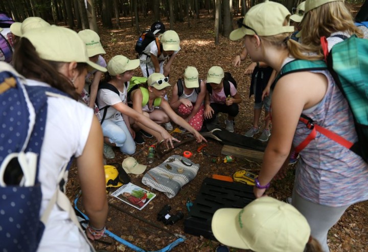 NÖ Waldjugendspiele 2025