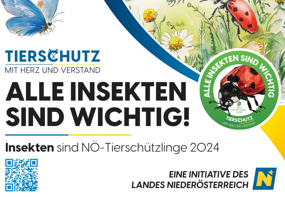 Sujet Tierschützlinge: Alle Insekten sind wichtig