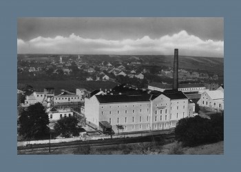 Dürnkrut Zuckerfabrik 1952