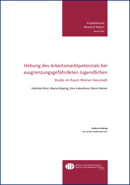 Cover: •	Hebung des Arbeitsmarktpotenzials bei ausgrenzungsgefährdeten Jugendlichen 